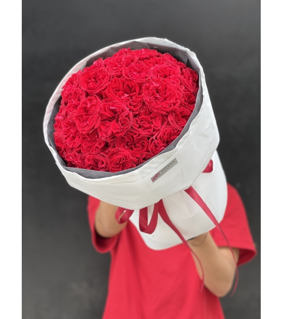 Ohara Đỏ Rực – Tình Yêu Vĩnh Cửu”