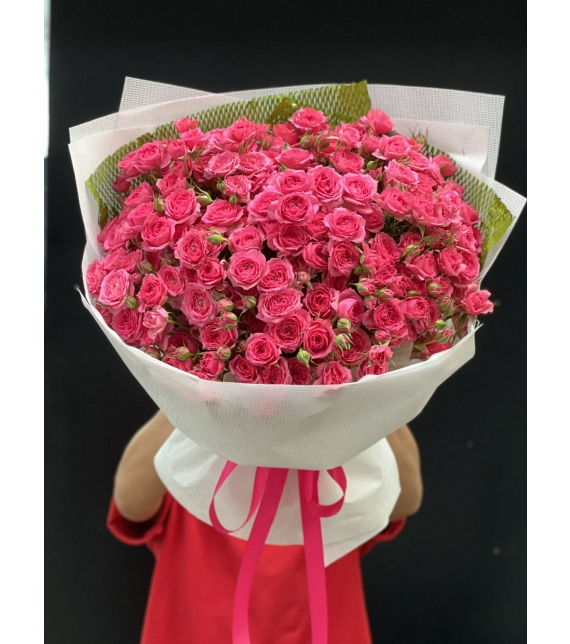 “Sofia Rực Rỡ – Lời Yêu Thương Ngọt Ngào”