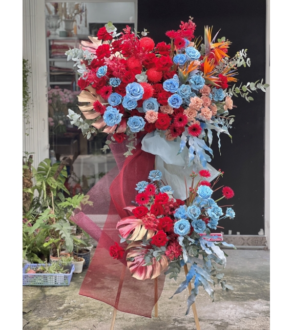 “Thành Công Rực Rỡ”