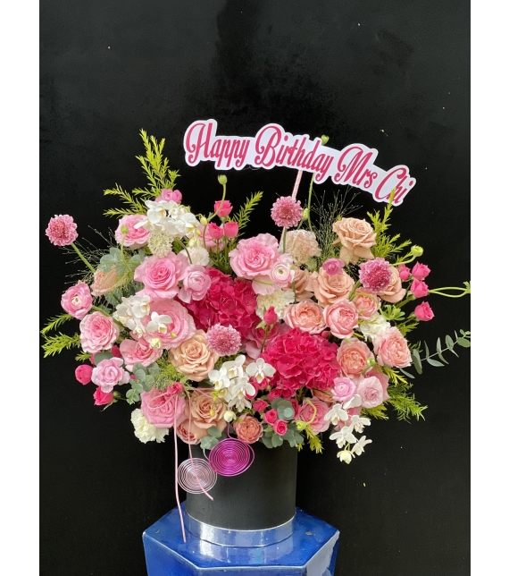 “Sắc Hồng Thanh Khiết”