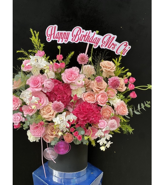 “Sắc Hồng Thanh Khiết”