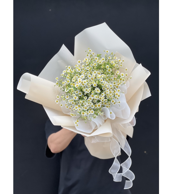 “Tinh Khôi Nắng Sớm” ☀️