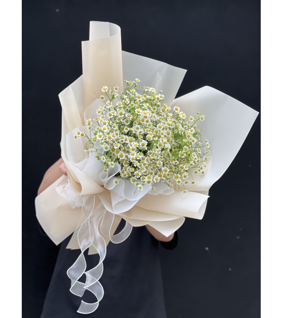 “Tinh Khôi Nắng Sớm” ☀️