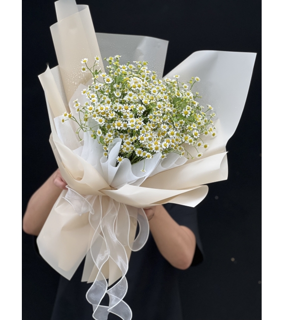 “Tinh Khôi Nắng Sớm” ☀️