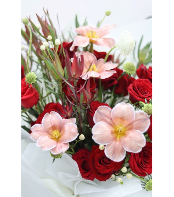 “Hương Sắc Thanh Cao – Bản Hòa Tấu Của Những Đóa Hoa”