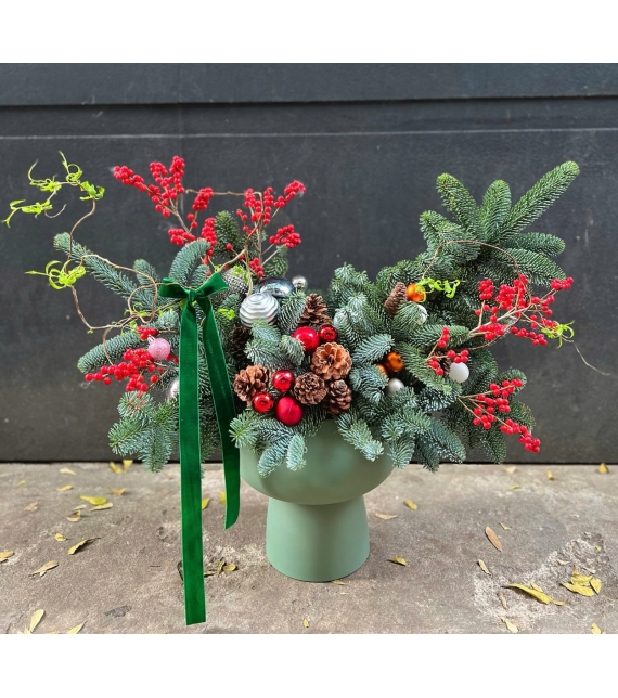 “Nordic Cheer” – Chậu Thông Hân Hoan Bắc Âu