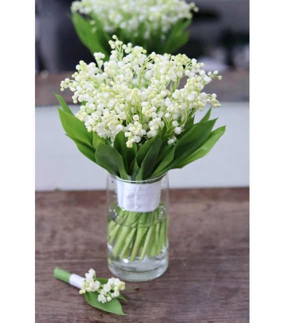 Snowbell Elegance – Thanh Khiết Chuông Tuyết