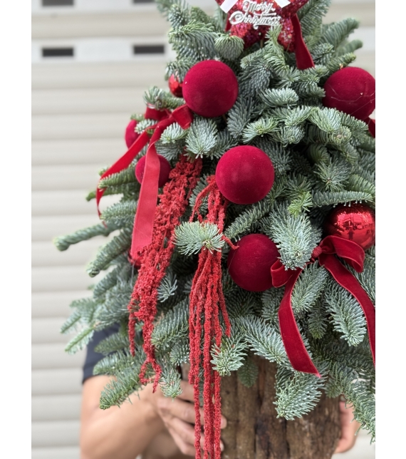  “Crimson Noel” – Cây Thông Giáng Sinh Đan Mạch