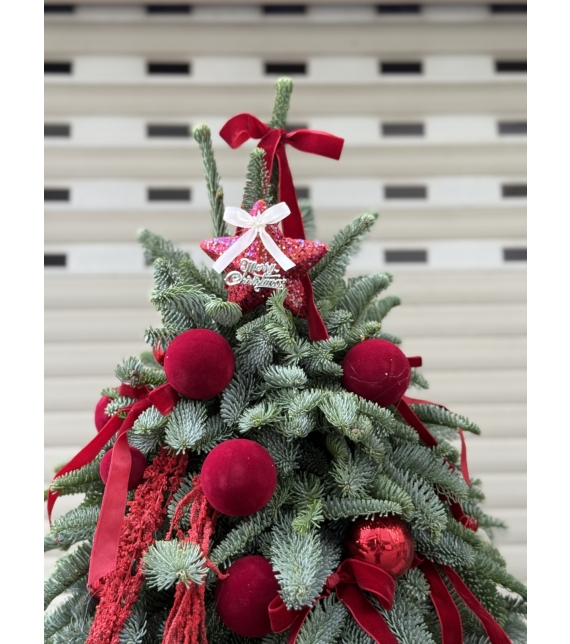  “Crimson Noel” – Cây Thông Giáng Sinh Đan Mạch
