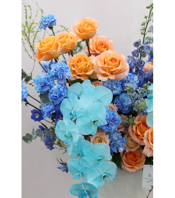 “Lumière de Printemps – Ánh Sáng Mùa Xuân”