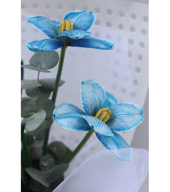 “Blue Reverie – Giấc Mơ Lam Ngọc”