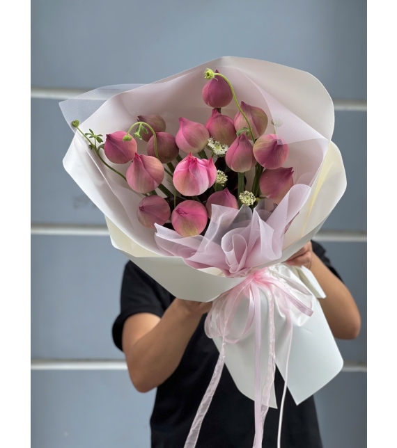 “Sen Hồng Thuần Khiết – Nét Đẹp Tĩnh Lặng và Cao Quý”