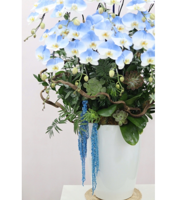  “Emerald Grace – Ngọc Lục Thanh Hoa”