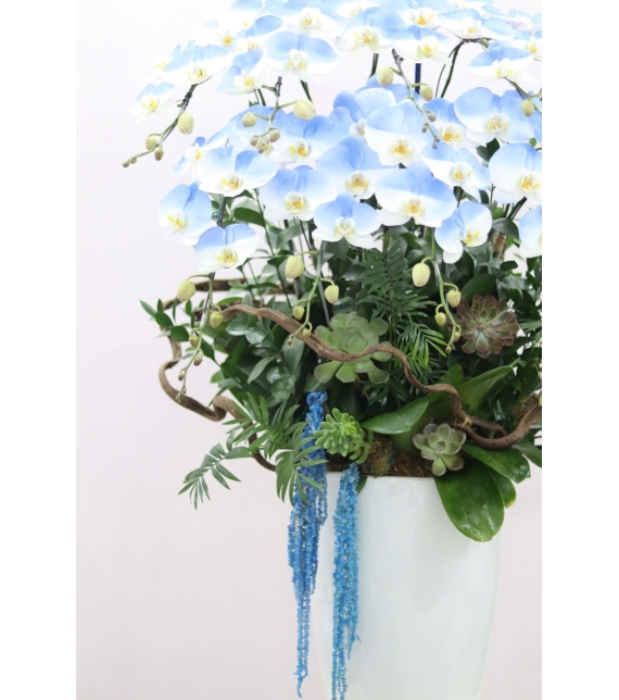  “Emerald Grace – Ngọc Lục Thanh Hoa”