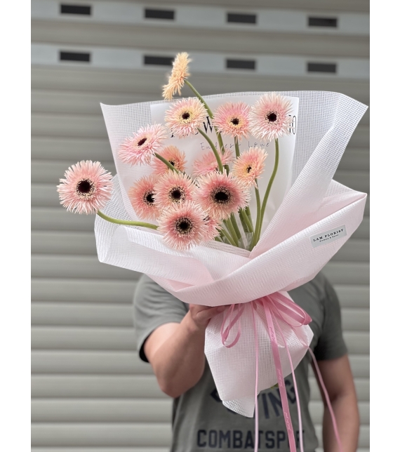Bó hoa Đồng tiền kép nhẹ nhàng