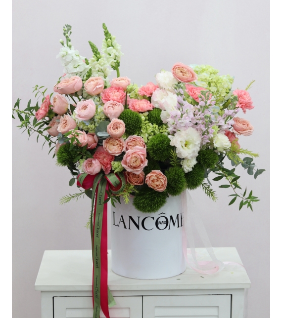 Enchanted Pastel Symphony – Giao Hưởng Sắc Pastel