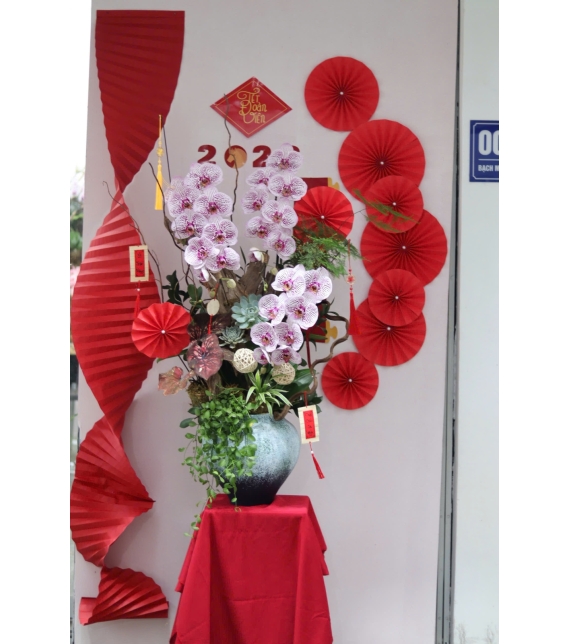 LAN HỒ ĐIỆP TÍM ĐỐM NGỌC – VẺ ĐẸP TINH TẾ, SANG TRỌNG CHO KHÔNG GIAN ĐẦU NĂM