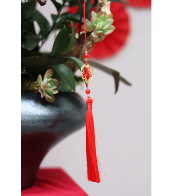 LAN HỒ ĐIỆP ĐỎ PHÚ QUÝ – ĐIỂM NHẤN SANG TRỌNG CHO KHÔNG GIAN NGÀY TẾT