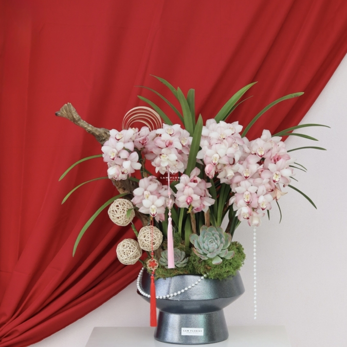 Địa Lan Phú Quý Xuân