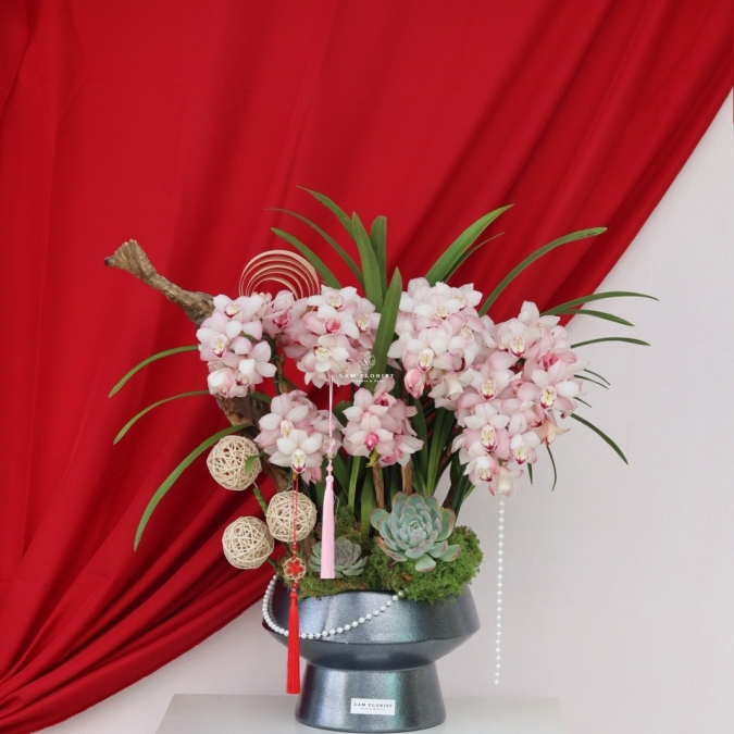 Địa Lan Phú Quý Xuân