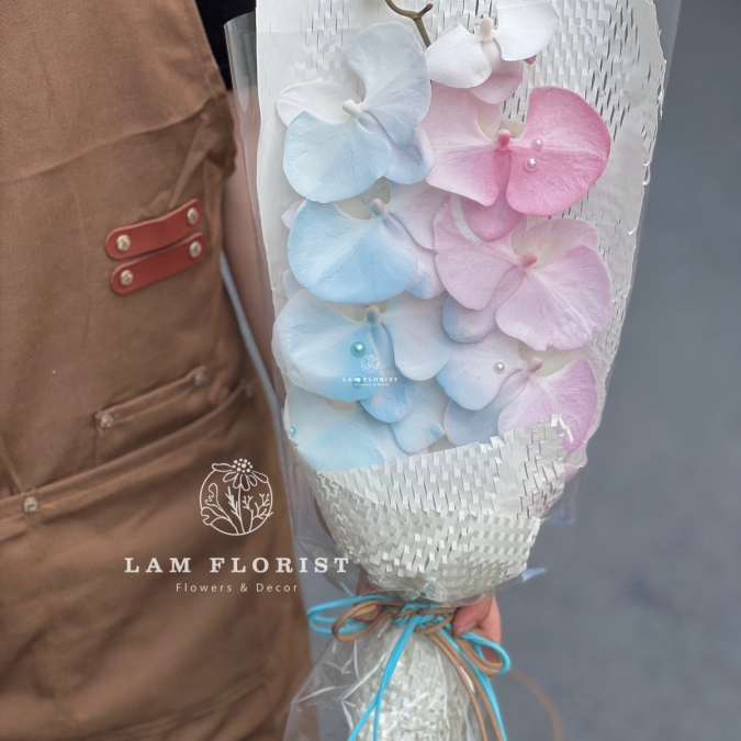 Bó 1 cành Lan Hồ Điệp Thanh Khiết