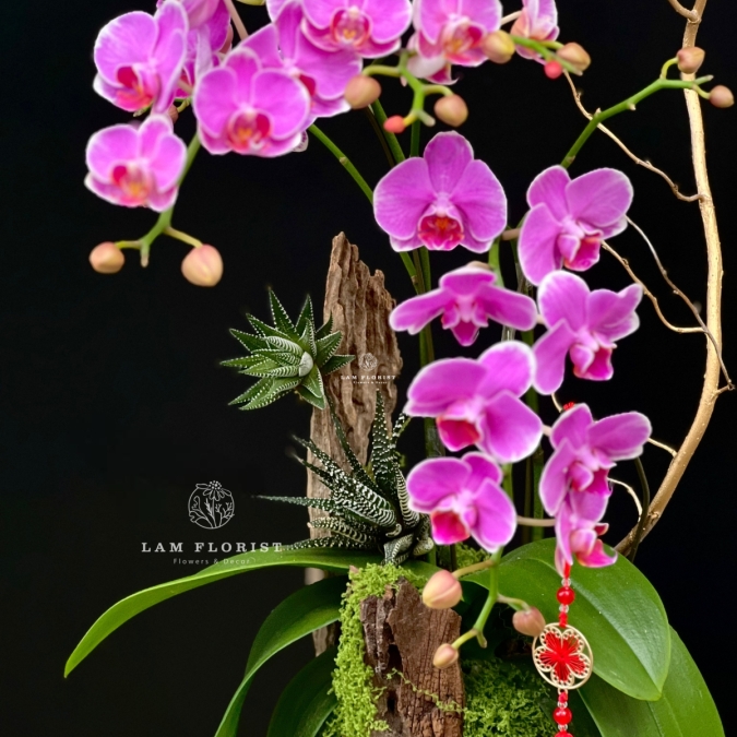 “Vũ điệu Tài Lộc”