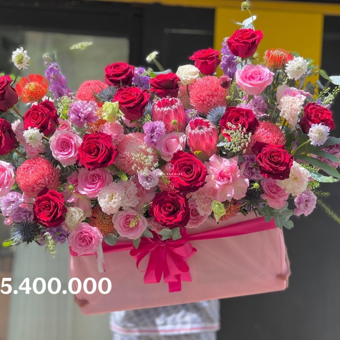 “Hồng Vân Dạ Tiệc – Grand Scarlet Peony Bloom”