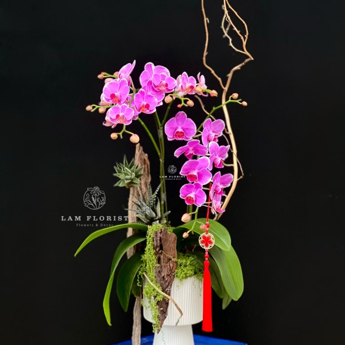 “Vũ điệu Tài Lộc”