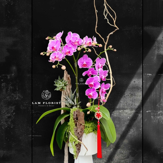 “Vũ điệu Tài Lộc”