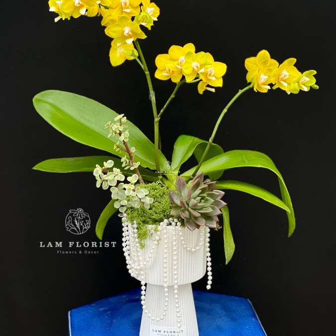 “Nắng Bình An”