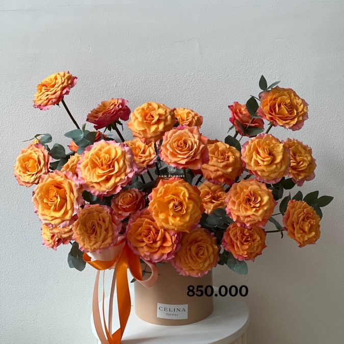 “Tinh Khôi Spirit – Pure Spirit Blossom”