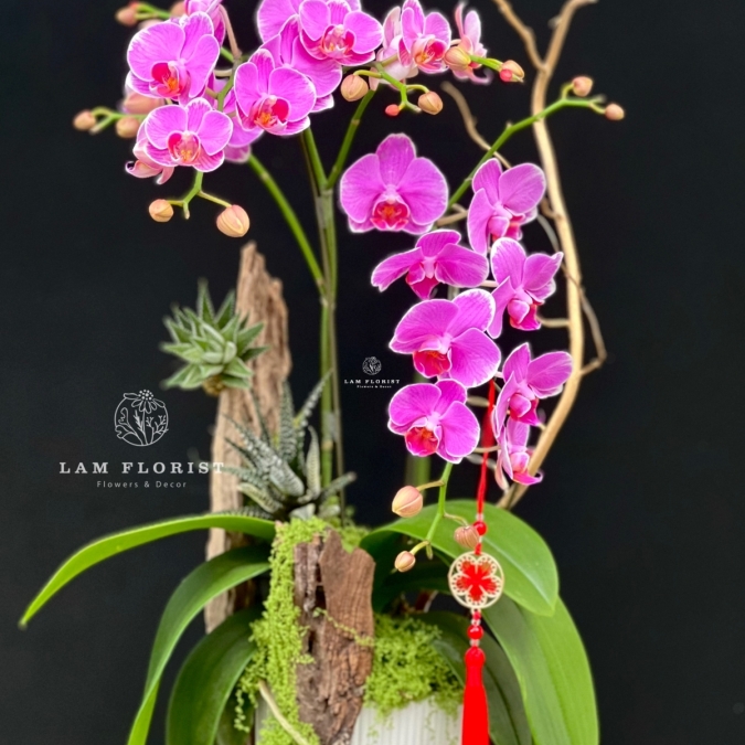 “Vũ điệu Tài Lộc”