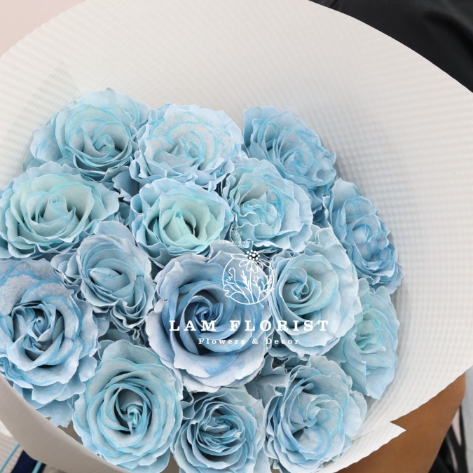 “Blue Velvet – Lời Thì Thầm Dịu Êm”