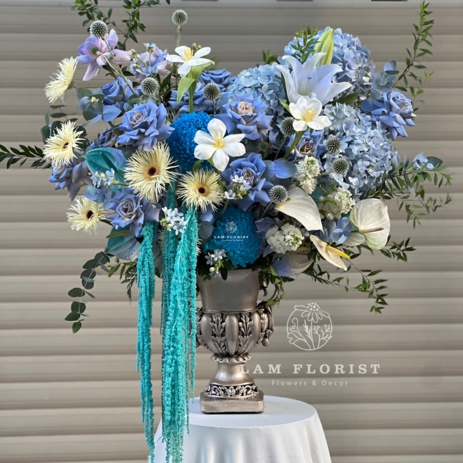 Blue Harmony – Giai điệu xanh thanh khiết  