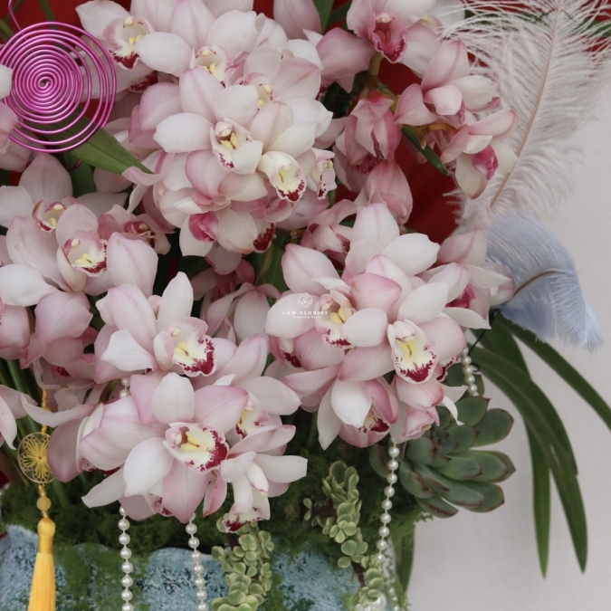 Địa Lan Cát Phúc Xuân 