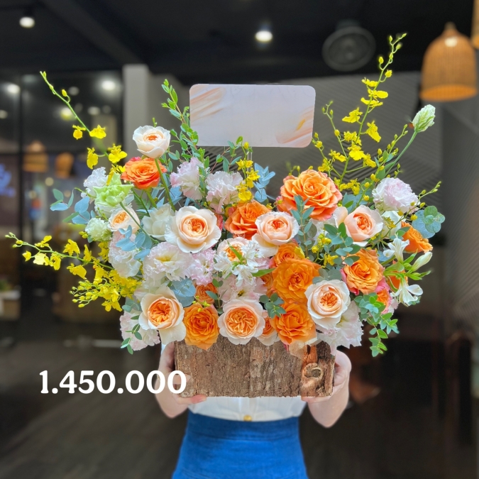 “Jubilee Mộc Cam – Nắng Sớm Trong Rừng”