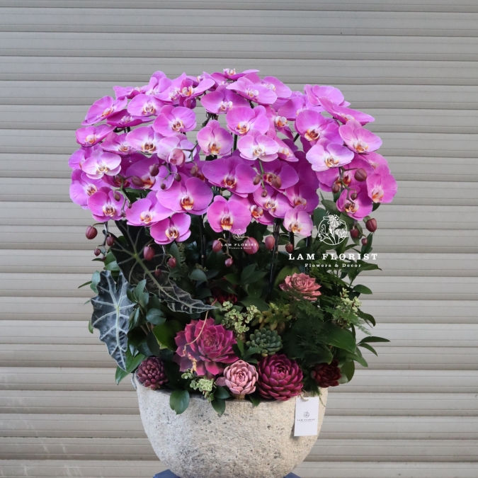 “Tử Vân Viên Mãn – Phúc Khí Đong Đầy”