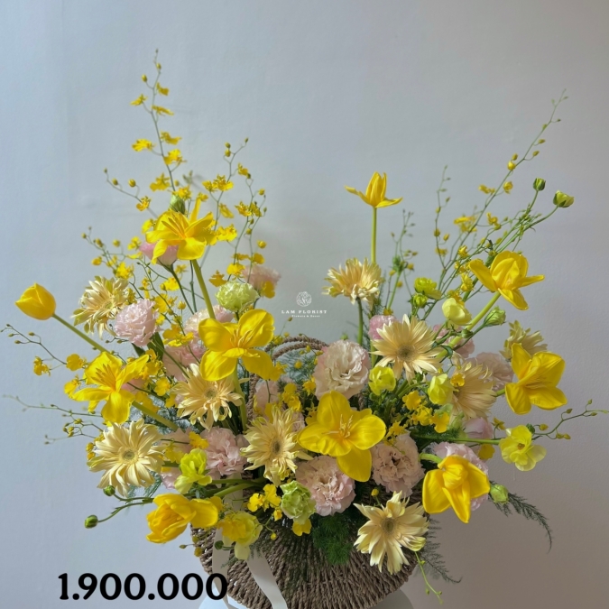 “Dịu Nhẹ Hoàng Kim – Soft Golden Bloom”