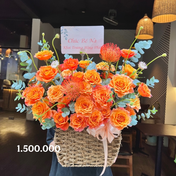  “Rực Sắc Hồng Phát”