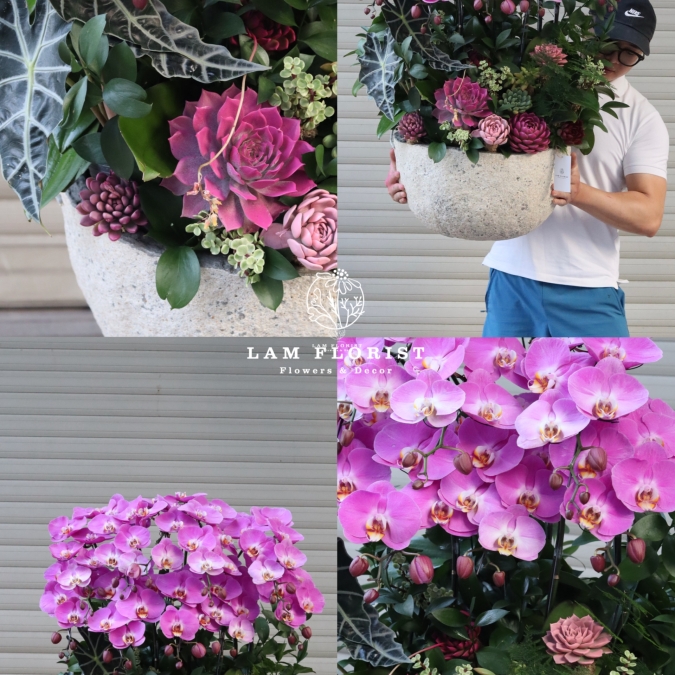 “Tử Vân Viên Mãn – Phúc Khí Đong Đầy”