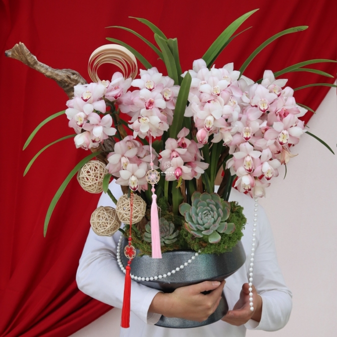 Địa Lan Phú Quý Xuân