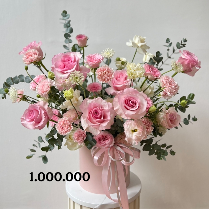  “Lạc Thần Thanh Nhã – Divine Blush Elegance”