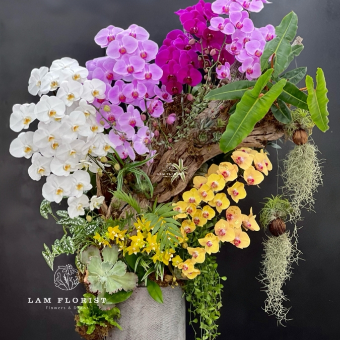 Sắc Ngọc Thiên Nhiên – The Orchid Symphony