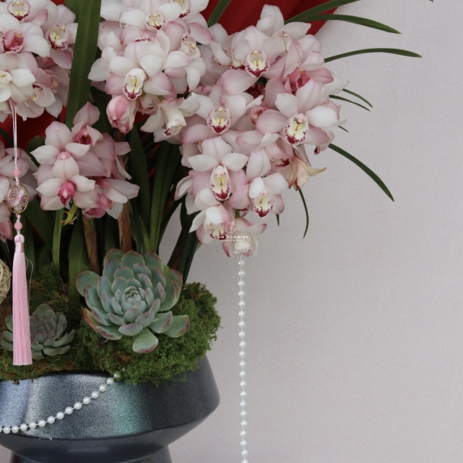 Địa Lan Phú Quý Xuân