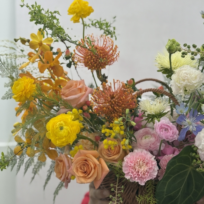 “Sunlit Harmony” ☀️- Giấc Mơ Ngày Nắng