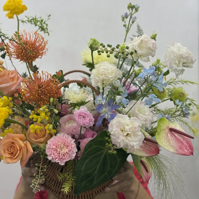 “Sunlit Harmony” ☀️- Giấc Mơ Ngày Nắng