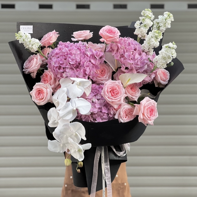 “Serene Elegance – Thanh Âm Của Sự Bình Yên”