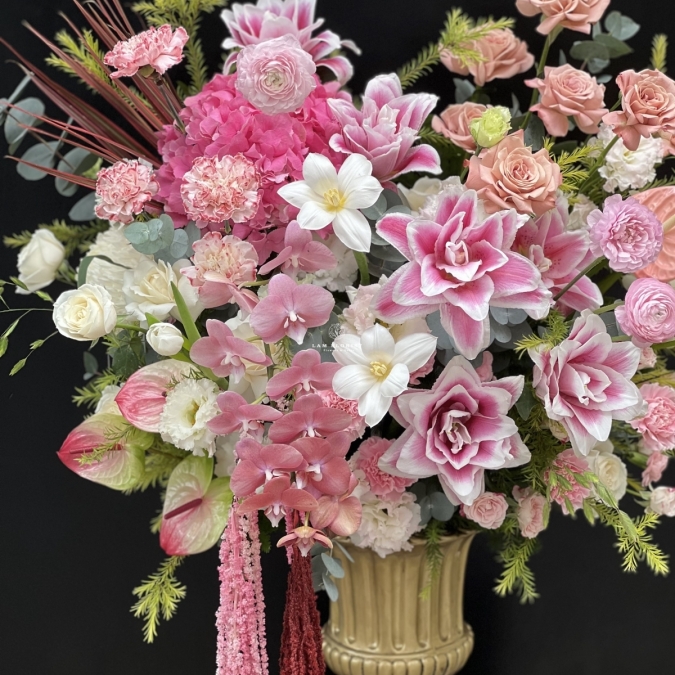 Dáng Hồng Thanh Xuân - “The Blush Symphony”