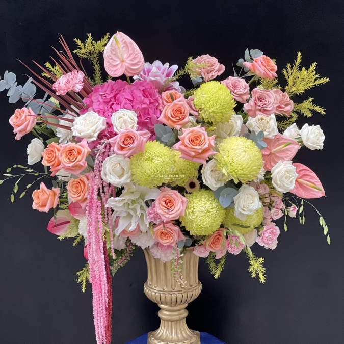 Vũ Khúc Sắc Hoa - “The Bloom Sonata”