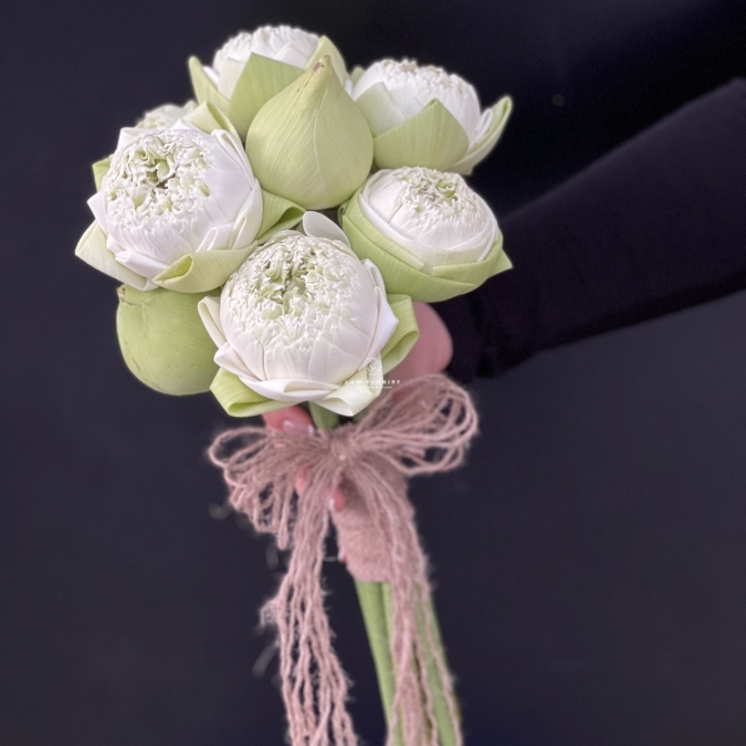 TINH LIÊN - HOA CÔ DÂU ĐẶC BIỆT